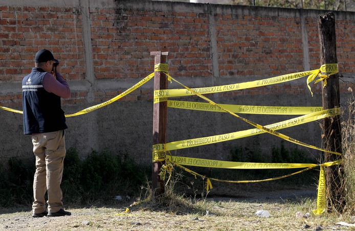 Au moins 25 cadavres découverts dans une fosse au Mexique