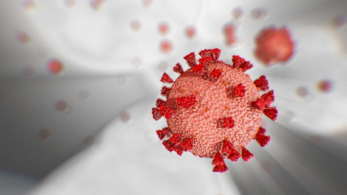  Coronavirus global death toll passes 300,000 as countries wait in lockdown  