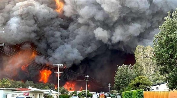 دخان حرائق الغابات في أستراليا قتل 445 شخصاً