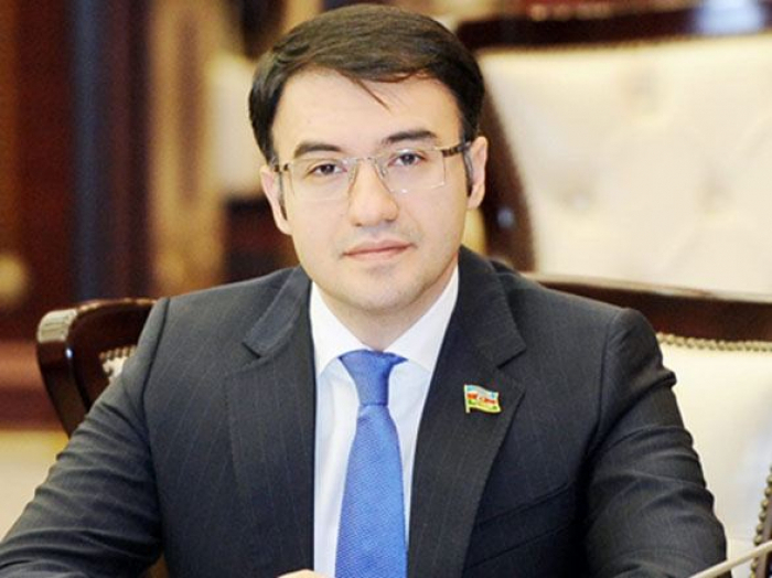 Azerbaijani MP elected as vice-chairperson of PACE Sub-Committee on Human Rights