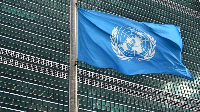   Appell an Schuscha als offizielles Dokument bei den Vereinten Nationen veröffentlicht  