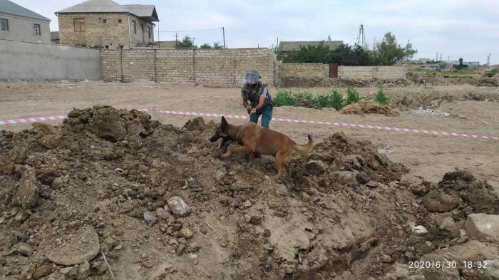 Bakıda qumbara tapıldı  
