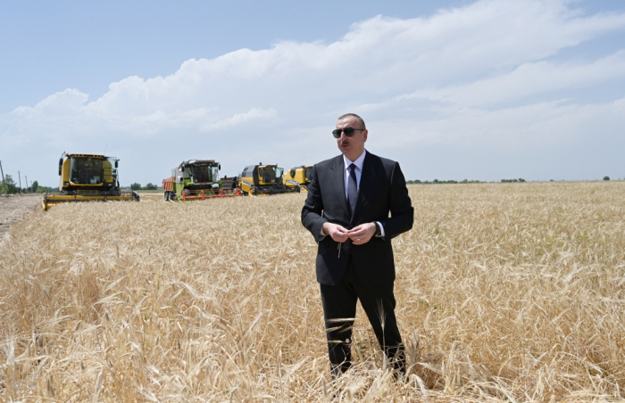   الرئيس إلهام علييف يشارك في مراسم الشروع في حصاد الحبوب في أغجابدي  