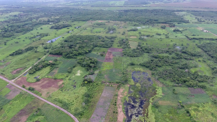 Científicos descubren la "construcción monumental más antigua" de la civilización maya en México