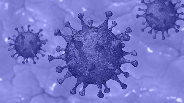 ¿Por qué unas personas son más susceptibles al coronavirus?
