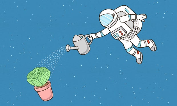    Gardens of the galaxy  : can you grow vegetables on Mars?  