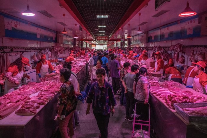   Can China keep wildlife off the menu?  
