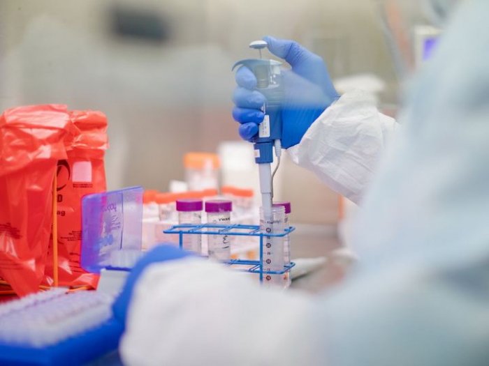   Operational Headquarters: Number of people with positive repeat coronavirus tests increases  