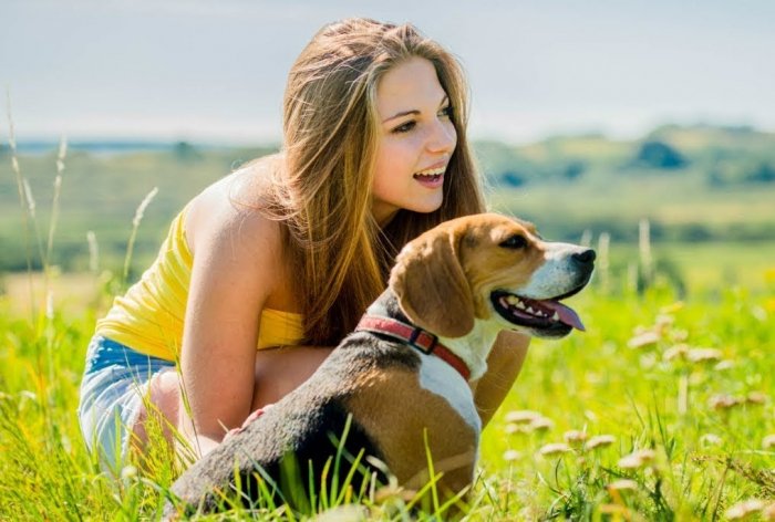  Azerbaijani citizens to be allowed to walk dogs during quarantine 