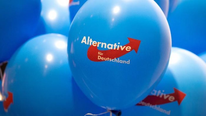 Verfassungsschutz beobachtet Brandenburg-AfD