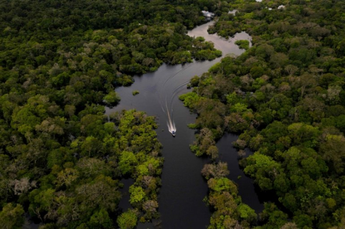 $4 trillion fund holders tell Brazil to halt deforestation  