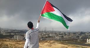 La ONU urge a Israel a detener la anexión de los territorios palestinos