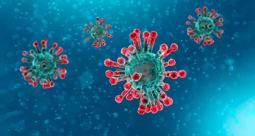  What you need to know about the coronavirus right now 