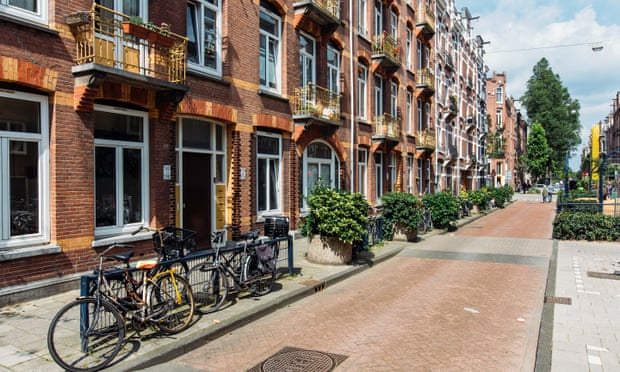 Amsterdam plants mini-gardens around bins in drive to cut littering 