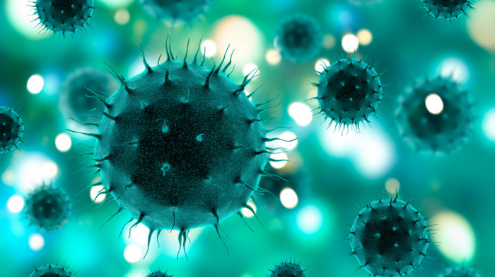  How coronavirus affects the entire body 