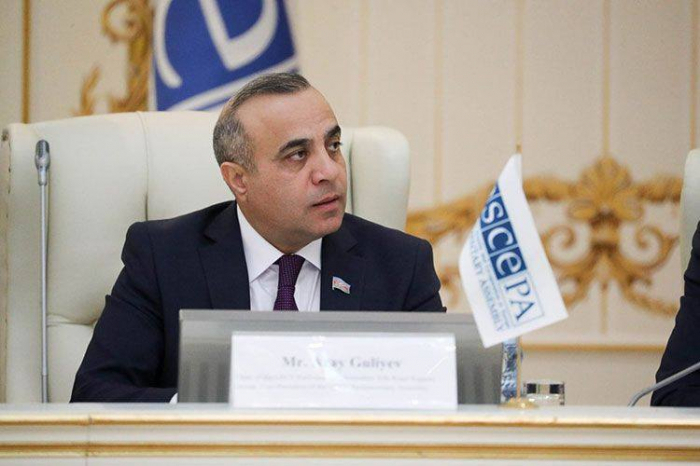  أزاي غولييف يثير قضية كاراباخ في الجمعية البرلمانية لمنظمة الأمن والتعاون في أوروبا 