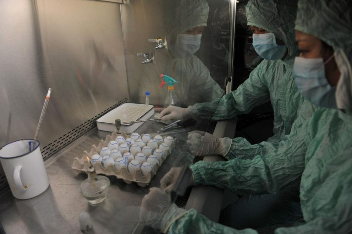«Pas même un moustique»: le labo de Wuhan se défend d
