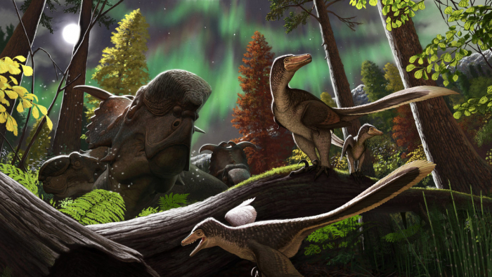 Descubren en Alaska los restos fosilizados de una cría de dinosaurio