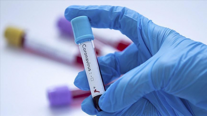   Azerbaijan confirms 526 new coronavirus cases, 8 deaths  
