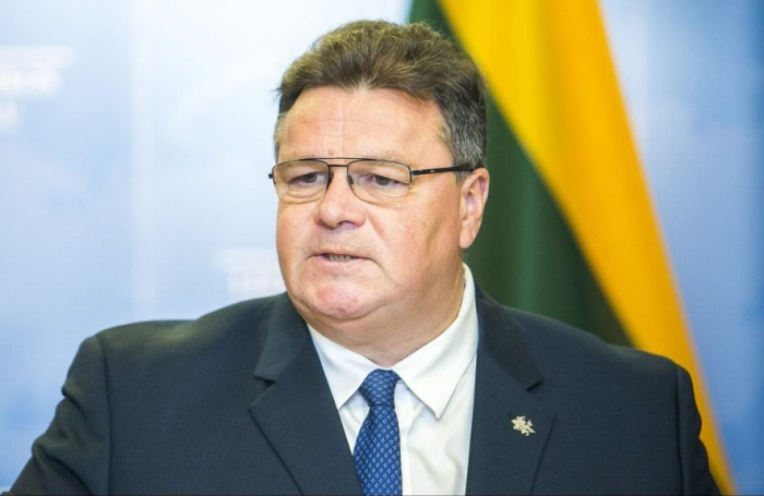     Canciller lituano  :" La escalada no beneficia a ninguna parte"  