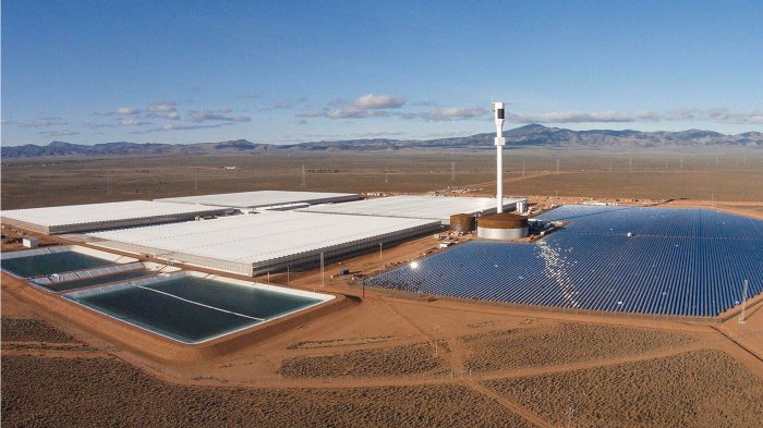   The people creating an oasis with seawater  