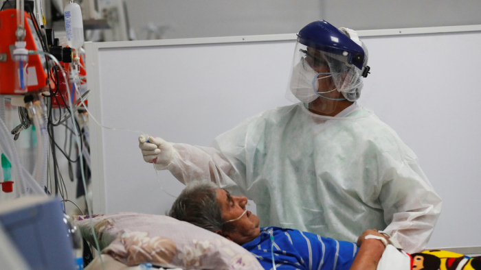 Argentina inicia ensayos clínicos para evaluar el suero equino en pacientes con coronavirus