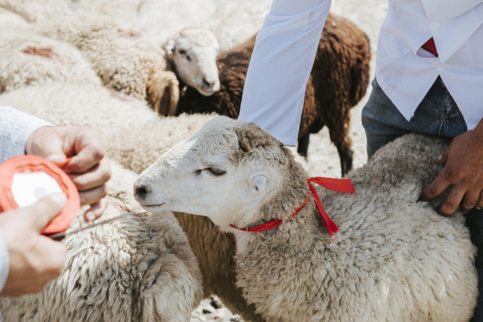   Azerbaijan marks Eid al-Adha  