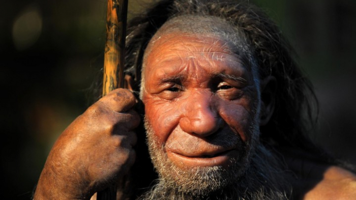 Zusammenhang mit Neandertaler-Erbgut und Anfälligkeit für Corona-Infektion?