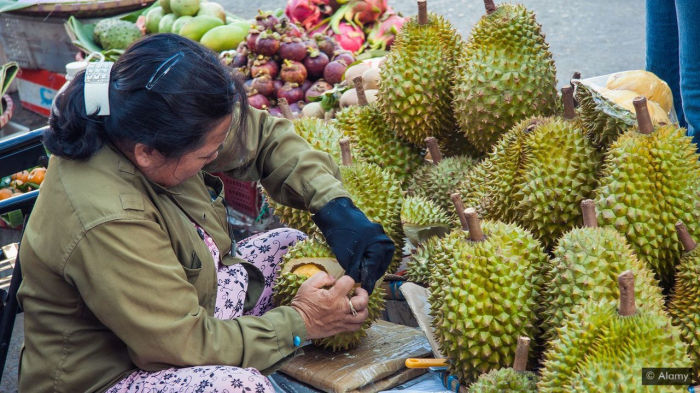   How the world’s smelliest fruit could power your phone -   iWONDER    