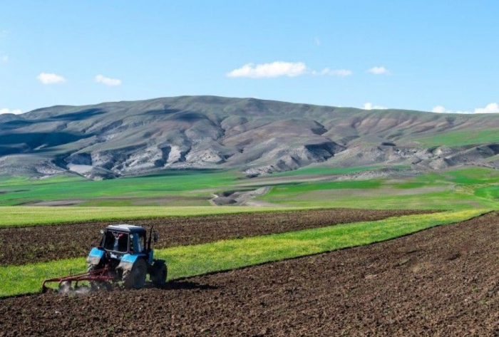   Ministerio de Agricultura de Azerbaiyán pagó subsidios a más de 30.000 agricultores  