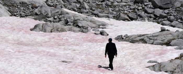 Mysterious emergence of pink ice in the Alps could have dire consequences
 