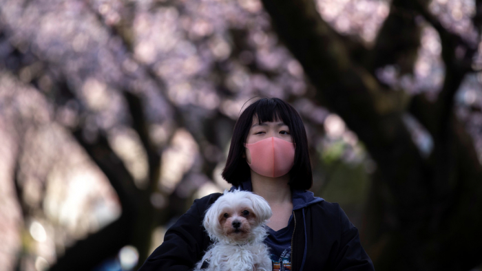 Dos perros dieron positivo por coronavirus en Japón