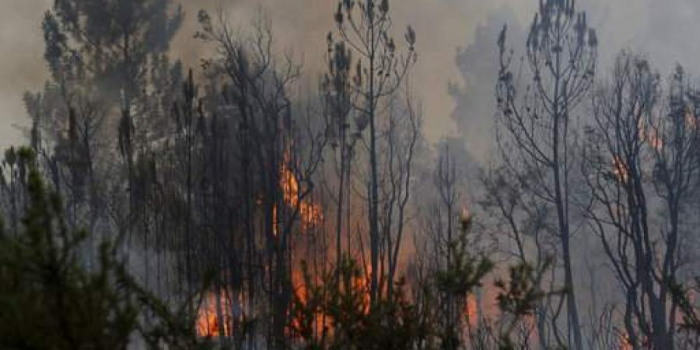 Thousands evacuated in southern France due to forest fires