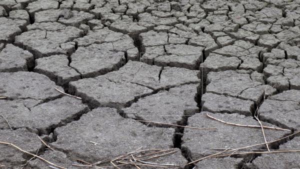 Las sequías extremas de 2 años aumentarán en Europa a causa del calentamiento global