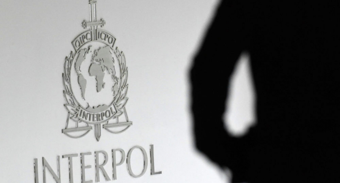   Interpol will Expertenteam nach Beirut schicken  