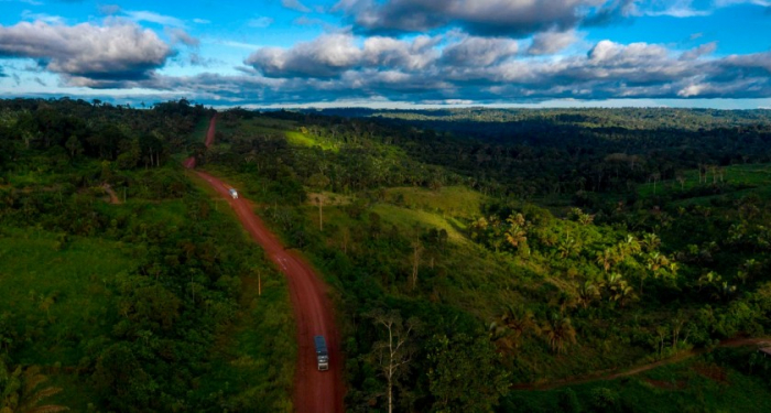 Brésil: la déforestation en Amazonie a atteint 1654 km² en juillet