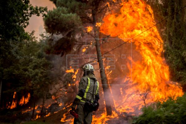 Cuatro incendios en Ourense, aún dos activos, queman ya 290 hectáreas