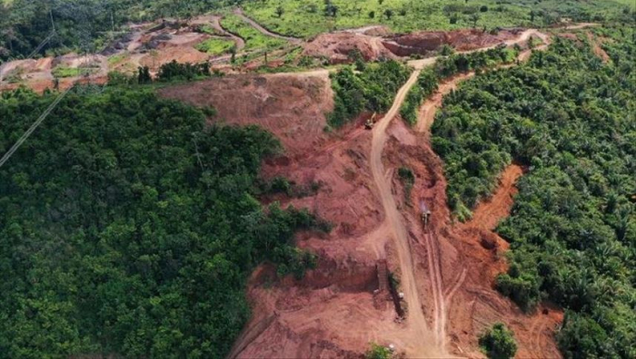 Deforestación en el Amazonas desarrolla un 34% en el último año y empresarios le dan un ultimátum a Bolsonaro
