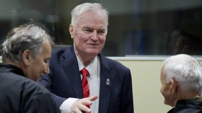 Ex Bosnian Serb general appeals genocide & crime conviction