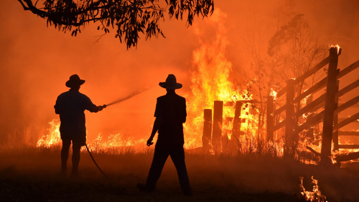 Informe: Australia debe prepararse para incendios forestales "potencialmente peores" que los de 2019