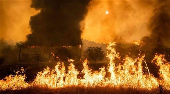 مئات الحرائق في كاليفورنيا تضطر  عشرات آلاف الأشخاص لمغادرة منازلهم
