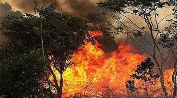 أضرار واسعة في نتيجة حرائق الأمازون 