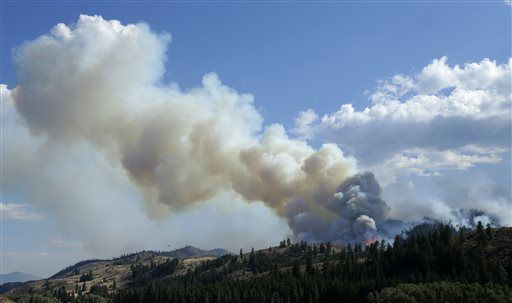   Why is wildfire smoke so damaging for your lungs? -   iWONDER    
 