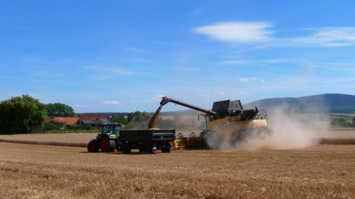 Bauernverband fordert Strategie gegen Klimawandel-Folgen