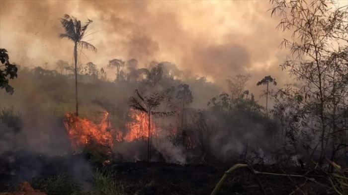 Decretan estado de emergencia en Brasil por incendios en Amazonas