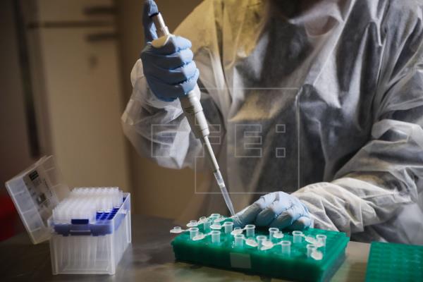 La OMS no espera vacunaciones masivas contra la COVID hasta mediados del próximo año