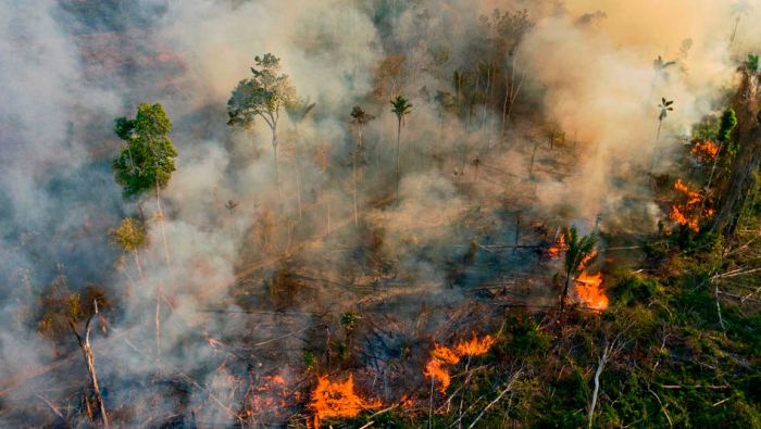 Feuer im Amazonas-Regenwald wüten weiter