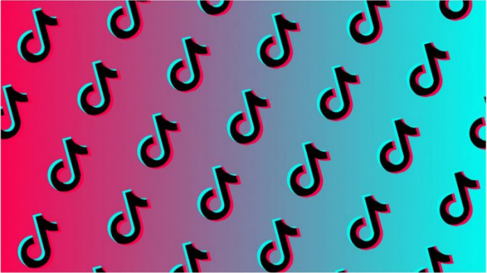 TikTok acknowledges restricting some LGBT-related hashtags