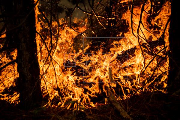 15 muertos y cientos de miles de evacuados por los fuegos en el oeste de EEUU