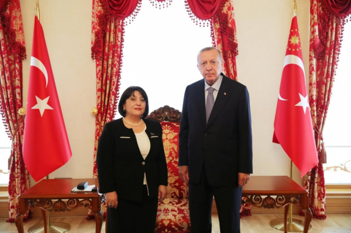   Chairperson of Azerbaijan’s Parliament meets with Turkish President  